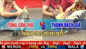 Trận 10 CPC5 21/9/2025 - Anh Tùng Cần Thơ Và Anh Thành Rạch Giá