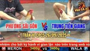 Trận 10 CPC5 26/9/2025 - Anh Phương Sài Gòn Và Anh Trung Tiền Giang
