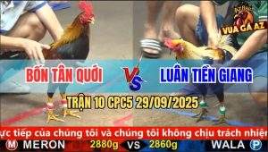 Trận 10 CPC5 29/9/2025 - Anh Bốn Tân Quới Và Anh Luân Tiền Giang