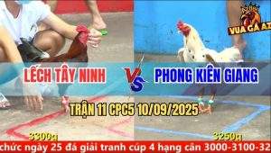 Trận 11 CPC5 10/9/2025 - Anh Lếch Tây Ninh Và Anh Phong Kiên Giang