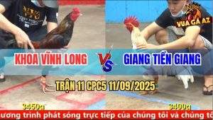 Trận 11 CPC5 11/9/2025 - Anh Khoa Vĩnh Long Và Anh Giang Tiền Giang