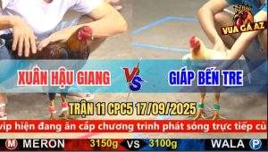 Trận 11 CPC5 17/9/2025 - Anh Xuân Hậu Giang Và Anh Giáp Bến Tre
