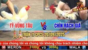 Trận 11 CPC5 20/9/2025 - Anh Tý Vũng Tàu Và Anh Chín Rạch Giá