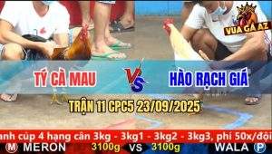 Trận 11 CPC5 23/9/2025 - Anh Tý Cà Mau Và Anh Hào Rạch Giá