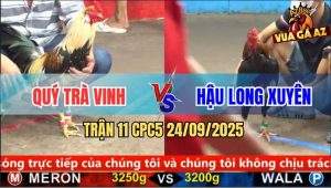 Trận 11 CPC5 24/9/2025- Anh Quý Trà Vinh Và Anh Hậu Long Xuyên