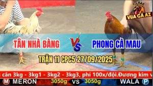 Trận 11 CPC5 27/9/2025 - Anh Tân Nhà Bàng Và Anh Phong Cà Mau