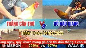 Trận 11 CPC5 28/9/2025 - Anh Thắng Cần Thơ Và Anh Đô Hậu Giang