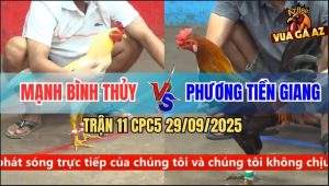 Trận 11 CPC5 29/9/2025 - Anh Mạnh Bình Thủy Và Anh Phương Tiền Giang