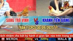 Trận 11 CPC5 30/9/2025 - Anh Sang Trà Vinh Và Anh Khanh Tiền Giang