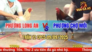 Trận 12 CPC5 9/9/2025 - Anh Phương Long An Và Anh Phương Chợ Mới