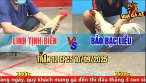 Trận 12 CPC5 10/9/2025 - Anh Linh Tịnh Biên Và Anh Bảo Bạc Liêu