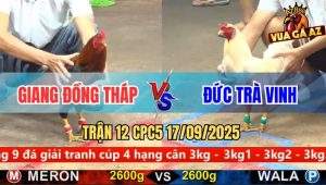 Trận 12 CPC5 17/9/2025 - Anh Giang Đồng Tháp Và Anh Đức Trà Vinh