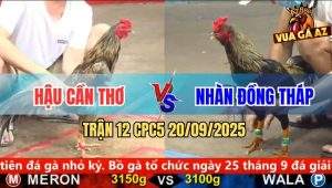 Trận 12 CPC5 21/9/2025 - Anh Hậu Cần Thơ Và Anh Nhàn Đồng Tháp