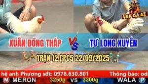 Trận 12 CPC5 22/9/2025 - Anh Xuân Đồng Tháp Và Anh Tư Long Xuyên