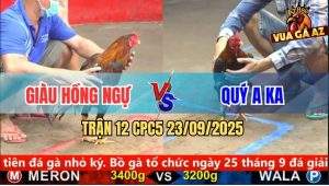 Trận 12 CPC5 23/9/2025 - Giàu Hồng Ngự Và Anh Quy A Ka
