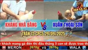 Trận 12 CPC5 29/9/2025 - Anh Khang Nhà Bàng Và Anh Xuân Thoại Sơn