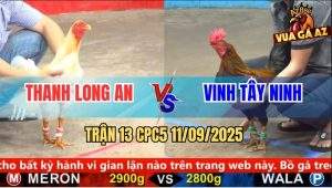 Trận 13 CPC5 11/9/2025 - Anh Thanh Long An Và Anh Vinh Tây Ninh