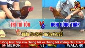 Trận 13 CPC5 16/9/2025 - Anh Trí Trí Tôn Và Anh Nghị Đồng Tháp