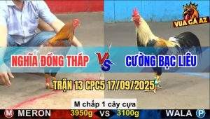 Trận 13 CPC5 17/9/2025 - Gà Chuối Anh Cường Kém 8 Chấm Đá Bự Bay Bồ