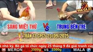 Trận 14 CPC5 23/9/2025 - Anh Chánh Vĩnh Long Và Anh Bảo Cần Thơ