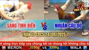 Trận 13 CPC5 24/9/2025 - Anh Sang Tịnh Biên Và Anh Nhuận Cầu Đỏ