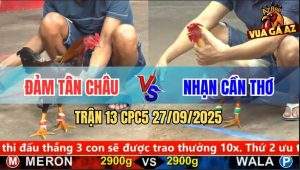 Trận 13 CPC5 27/9/2025 - Anh Đảm Tân Châu Và Anh Nhạn Cần Thơ