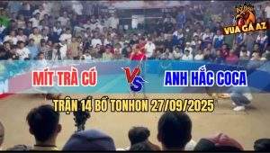Trận 14 Bồ TonHon 27/09/2025 - Anh Mít Trà Cú Và Anh Hắc Coca