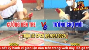 Trận 14 CPC5 9/9/2025 - Anh Cường Bến Tre Và Anh Tường Chợ Mới