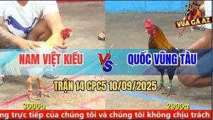 Trận 14 CPC5 10/9/2025 - Anh Nam Việt Kiều Và Anh Quốc Vũng Tàu