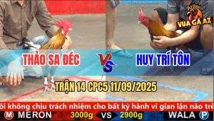 Trận 14 CPC5 11/9/2025 - Anh Thảo Sa Đéc Và Anh Huy Trí Tôn