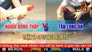 Trận 14 CPC5 16/9/2025 - Anh Nghĩa Đồng Tháp Và Anh Tân Long An