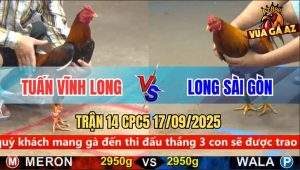 Trận 14 CPC5 17/9/2025 - Anh Tuấn Vĩnh Long Và Anh Long Sài Gòn