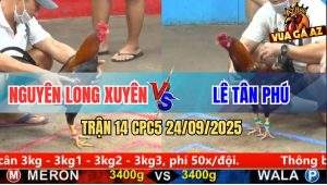 Trận 14 CPC5 24/9/2025 - Anh Nguyên Long Xuyên Và Anh Lê Tân Phú