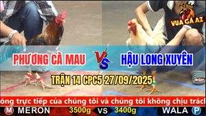 Trận 14 CPC5 27/9/2025 - Anh Phương Cà Mau Và Anh hậu Long Xuyên