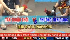 Trận 14 CPC5 29/9/2025 - Anh Tấn Thuận Thới Và Anh Phương Tiền Giang