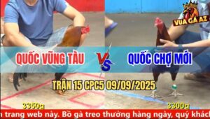 Trận 15 CPC5 9/9/2025 - Anh Quốc Vũng Tàu Và Anh Quốc Chợ Mới