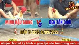 Trận 15 CPC5 10/9/2025 - Anh Minh Hậu Giang Và Anh Đen Tân Quới