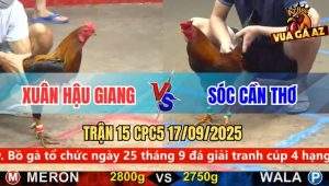 Trận 15 CPC5 17/9/2025 - Anh Xuân Hậu Giang Và Anh Sóc Cần Thơ