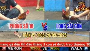 Trận 15 CPC5 24/9/2025 - Anh Phong Số 10 Và Anh Long Sài Gòn