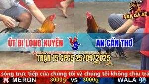 Trận 15 CPC5 25/9/2025 - Anh Út Bi Long Xuyên Và Anh An Cần Thơ