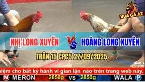 Trận 15 CPC5 27/9/2025 - Anh Nhị Long Xuyên Và Anh Hoàng Long Xuyên