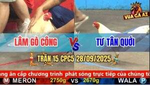 Trận 15 CPC5 28/9/2025 - Anh Lâm Gò Công Và Anh Tư Tân Quới