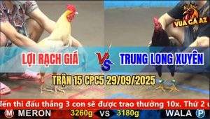 Trận 15 CPC5 29/9/2025 - Anh Lợi Rạch Giá Và Anh Trung Long Xuyên