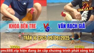 Trận 16 CPC5 9/9/2025 - Anh Khoa Bến Tre Và Anh Vấn Rạch Giá