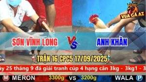 Trận 16 CPC5 17/9/2025 - Anh Sơn Vĩnh Long Và Anh Khàn