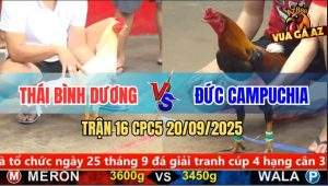 Trận 16 CPC5 20/9/2025 - Anh Thái Bình Dương Và Anh Đức Campuchia