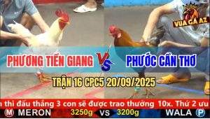 Trận 17 CPC5 21/9/2025 - Anh Tiền Bến Tre Và Anh Phát An Biên