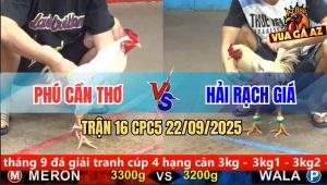 Trận 16 CPC5 22/9/2025 - Anh Phú Cần Thơ Và Anh Hải Rạch Giá