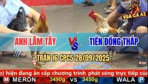 Trận 16 CPC5 28/9/2025 - Anh Lâm Tây Và Anh Tiền Đồng Tháp