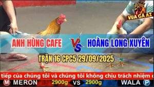 Trận 16 CPC5 29/9/2025 - Anh Hùng Cafe Và Anh Hoàng Long Xuyên